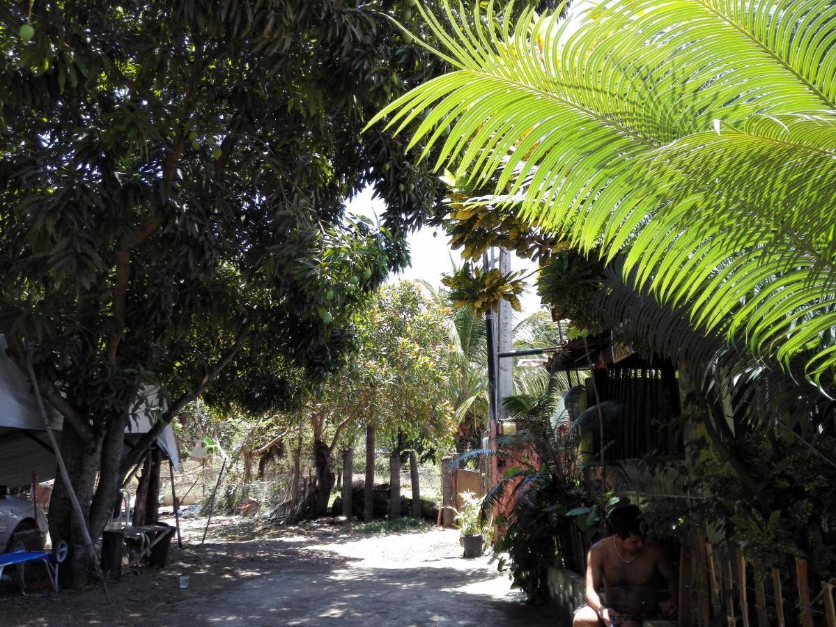 Hostel Terra Viva Praia de Pipa Exterior foto